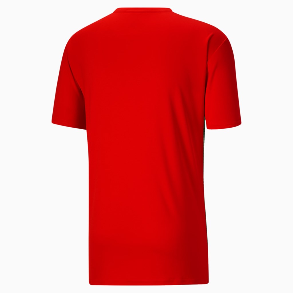 Puma Country Emblem Tech Løbe T-shirt Herre Rød | 709862XVE