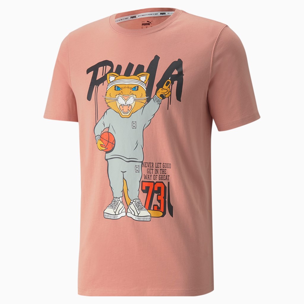 Puma Dylan Kort Sleeve Basketball Løbe T-shirt Herre Rosette | 041369PZB