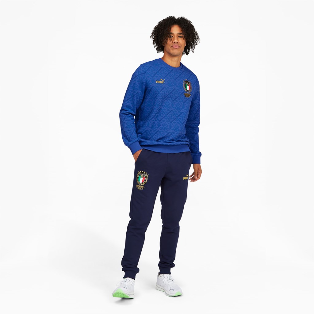 Puma FIGC Graphic Winner Soccer Sweatshirt Herre Blå Blå | LA9561472