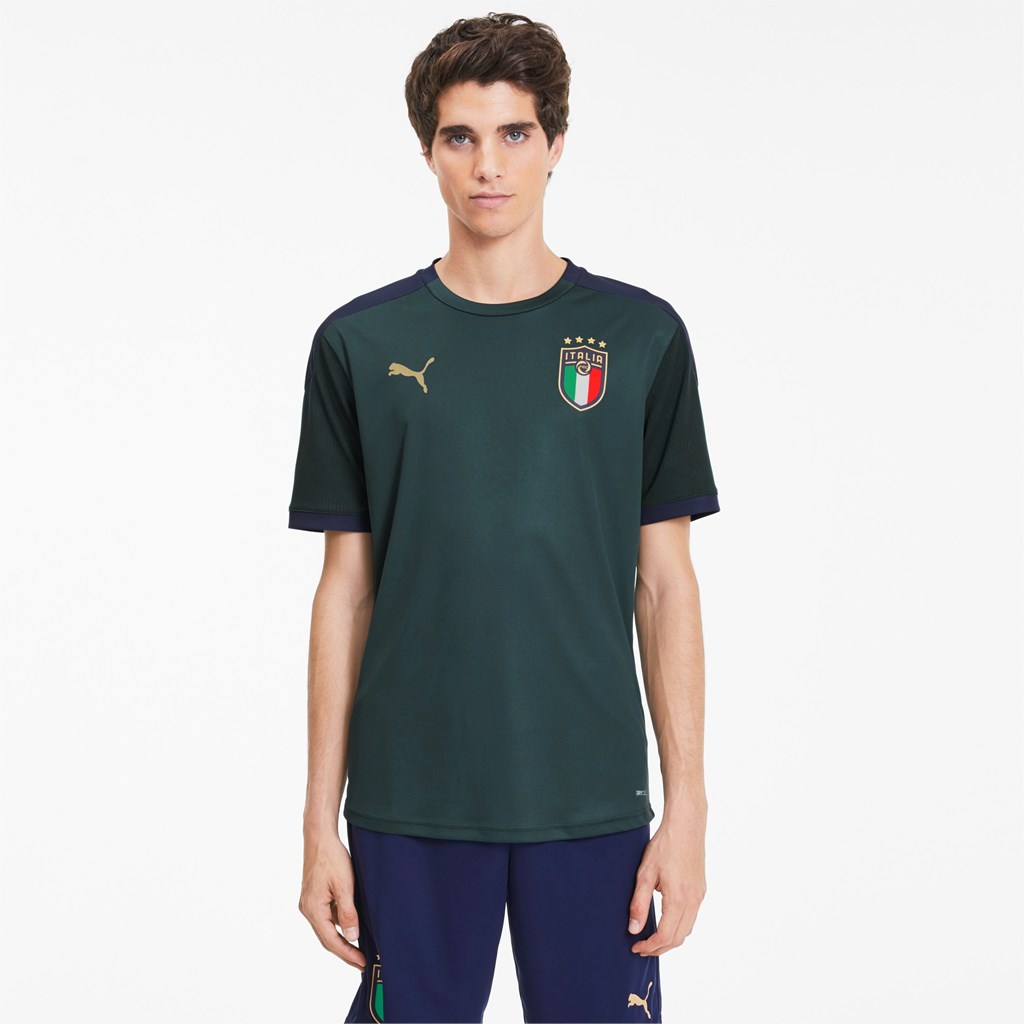 Puma FIGC Trænings Jersey Herre Ponderosa Pine / Peacoat | 685714EIH