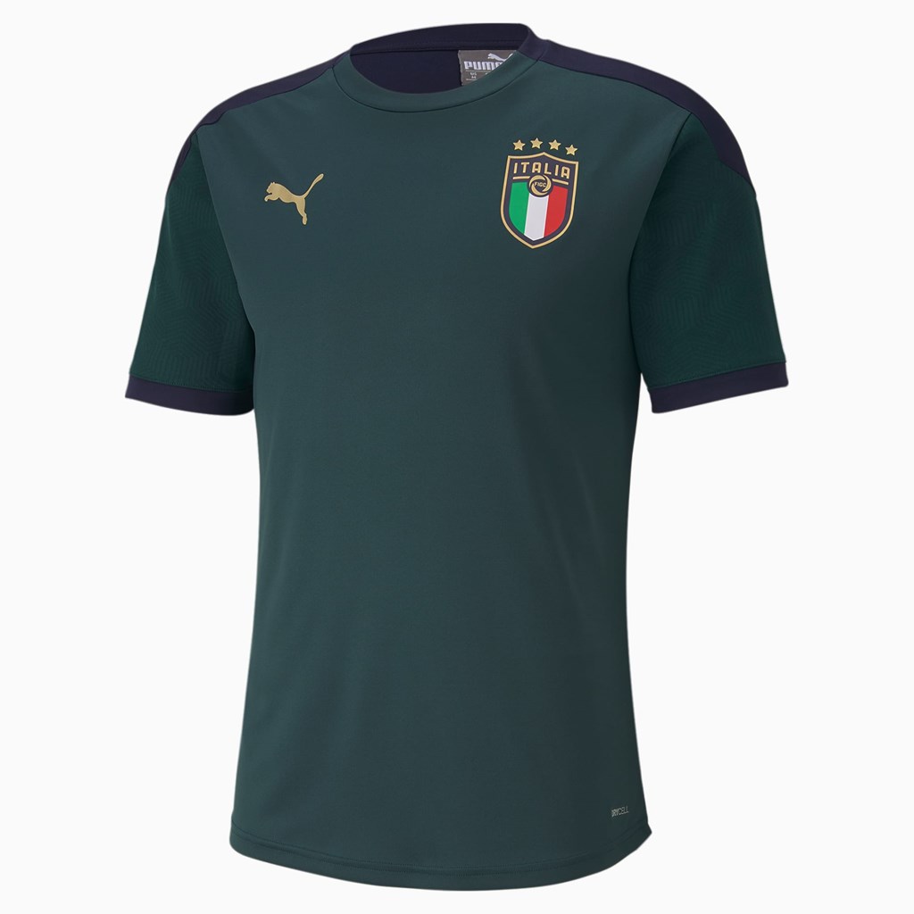 Puma FIGC Trænings Jersey Herre Ponderosa Pine / Peacoat | 685714EIH