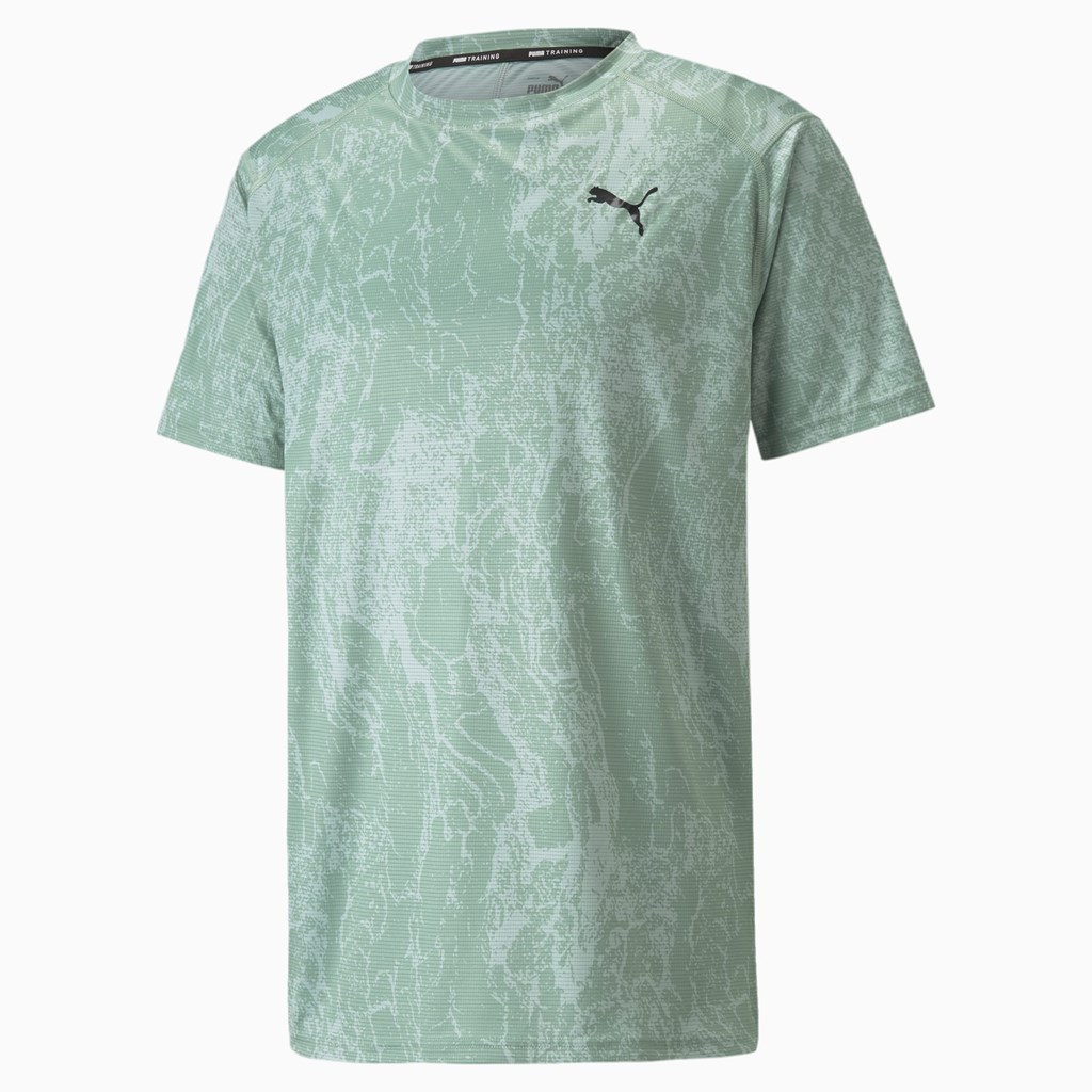 Puma Printed Kort Sleeve Trænings Løbe T-shirt Herre Jadeite / AOP | 237964RBX