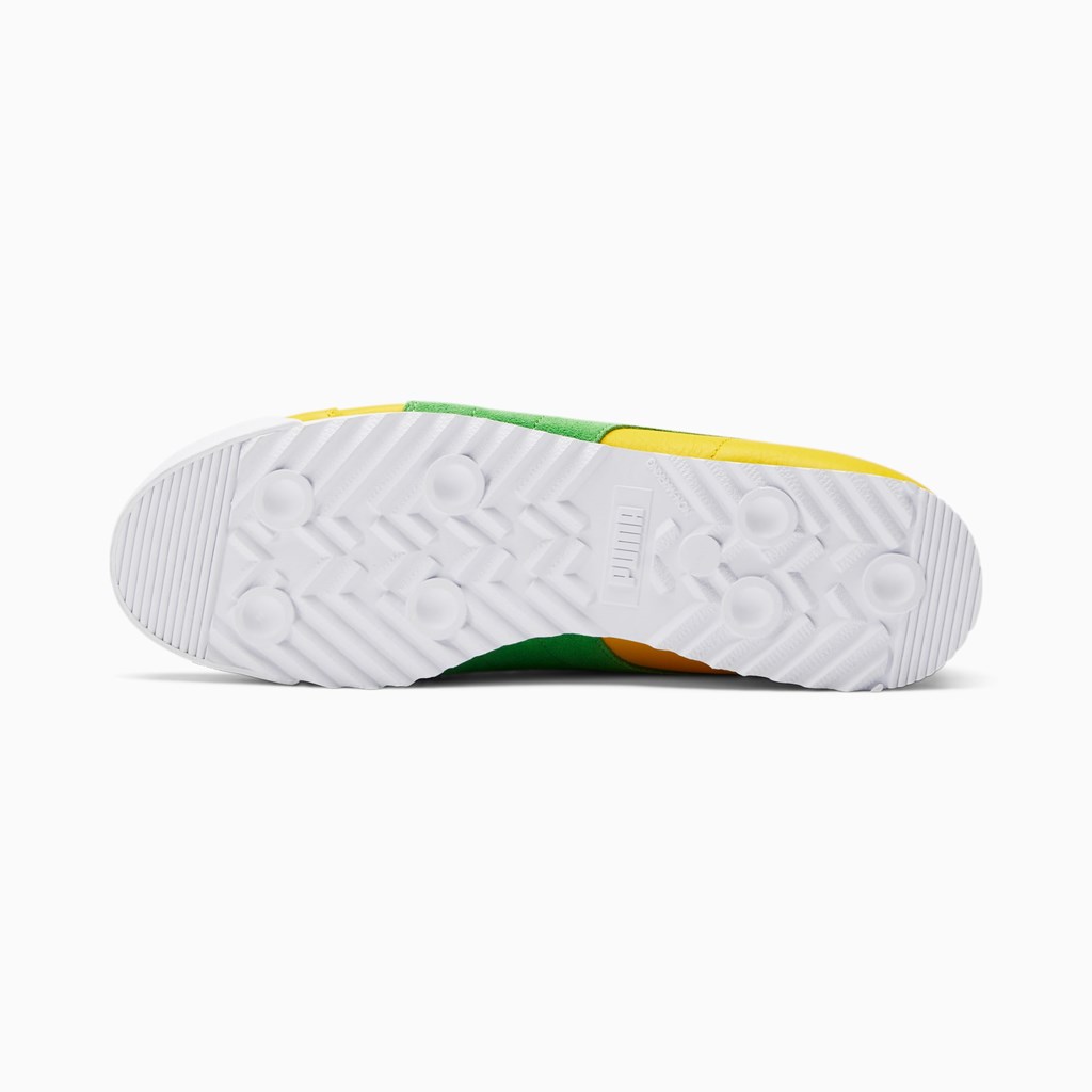 Puma Roma Brazil Sneakers Herre Grøn Kongeblå | IP8614305