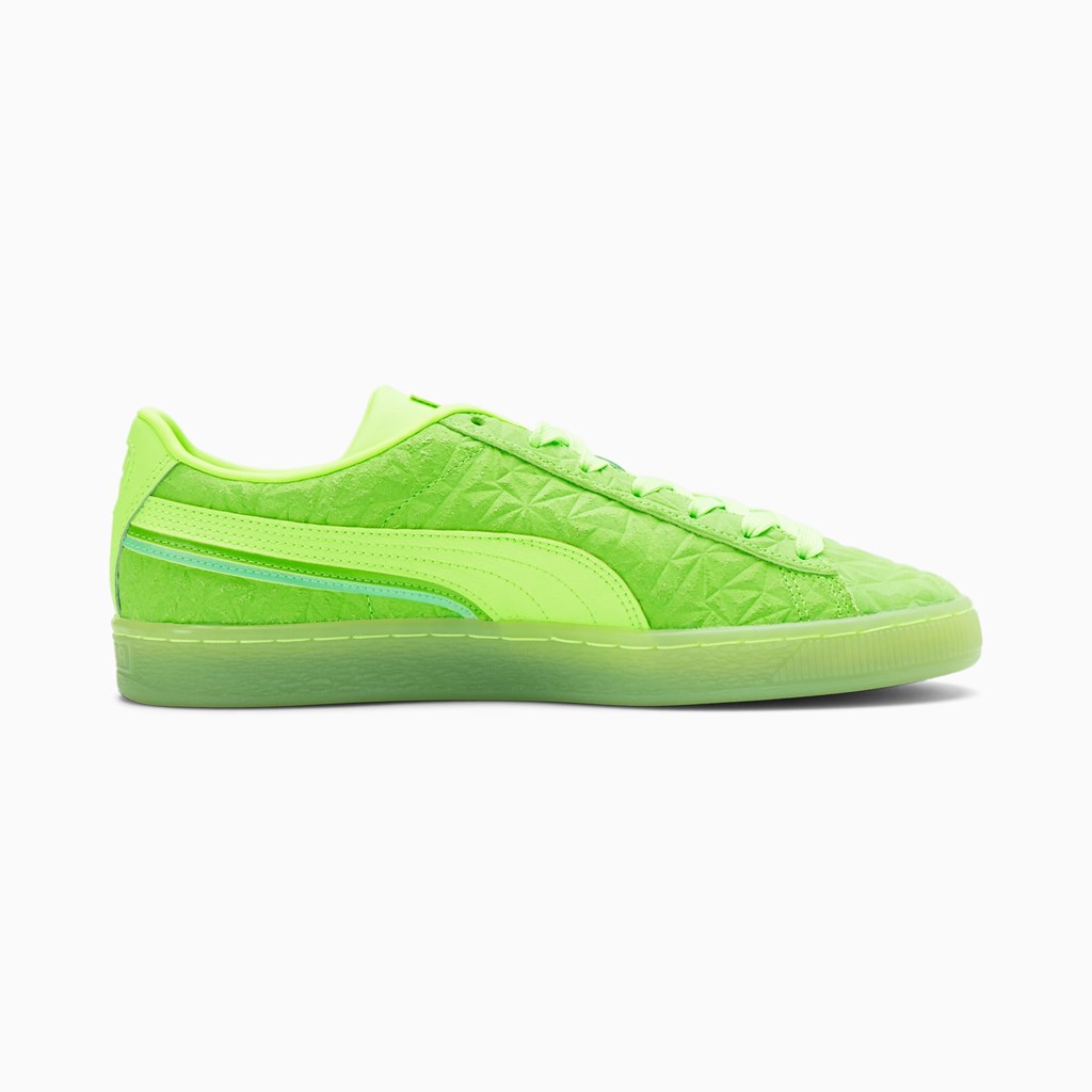 Puma Suede Triplex Mono Sneakers Herre Grøn Grøn Grøn | MP7091264