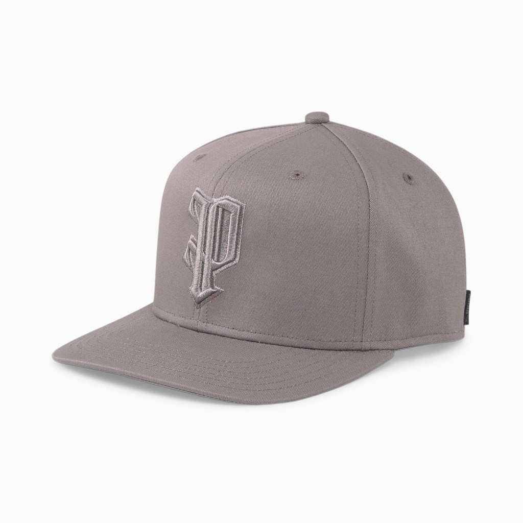 Puma The P Low Curve Hat Herre Steel Gray | 435216JBH