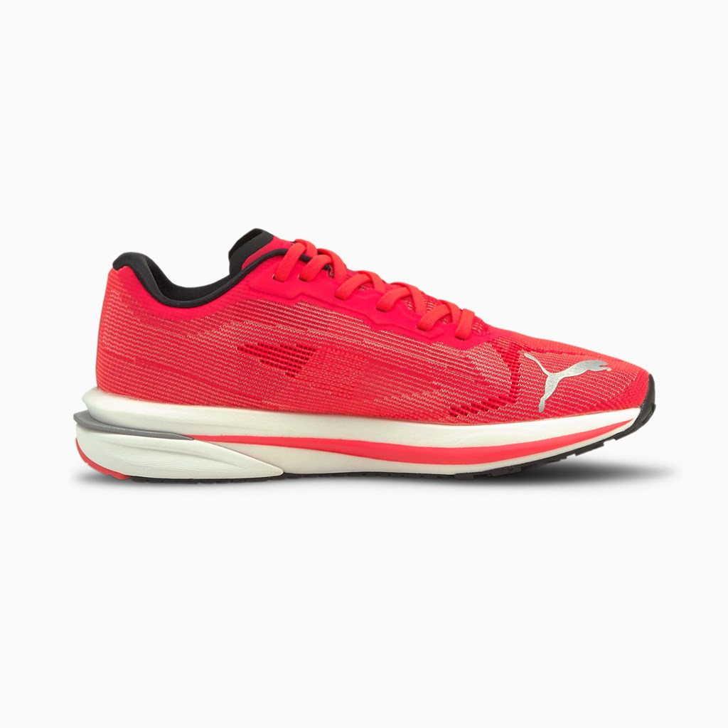 Puma Velocity NITRO Løbesko Dame Hvide Sort | 174059OCY