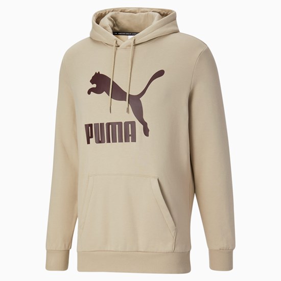 Puma Classics Logo FL Hættetrøje Herre Grøn | 831752JQK