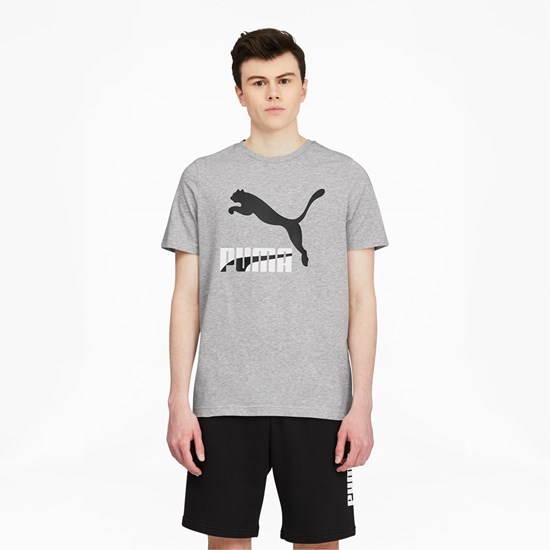 Puma Classics Logo Løbe T-shirt Herre Lyse | 130576LXK