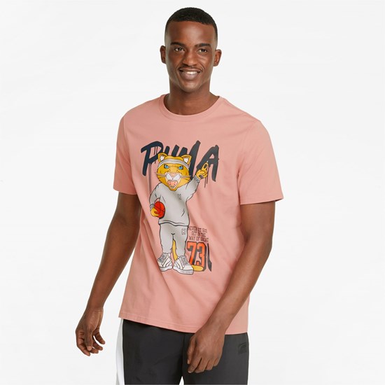 Puma Dylan Kort Sleeve Basketball Løbe T-shirt Herre Rosette | 041369PZB