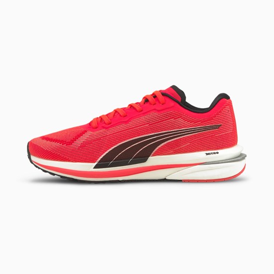 Puma Velocity NITRO Løbesko Dame Hvide Sort | 174059OCY